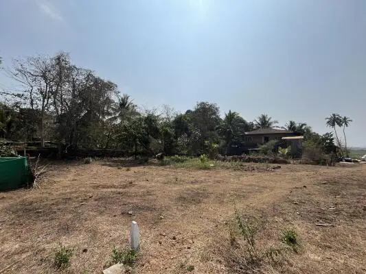 Land in Nachinola plots for sale in north goa