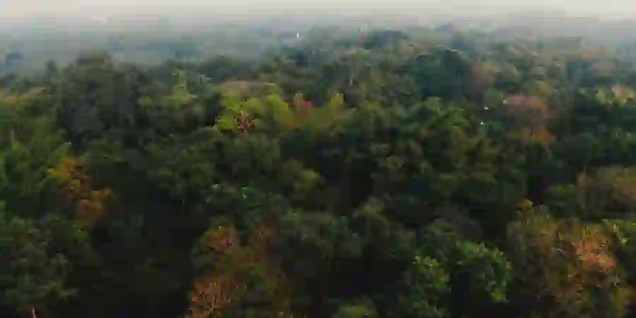 aerial view of soma vedic city