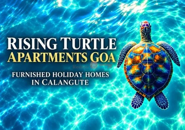 Rising Turtles Goa